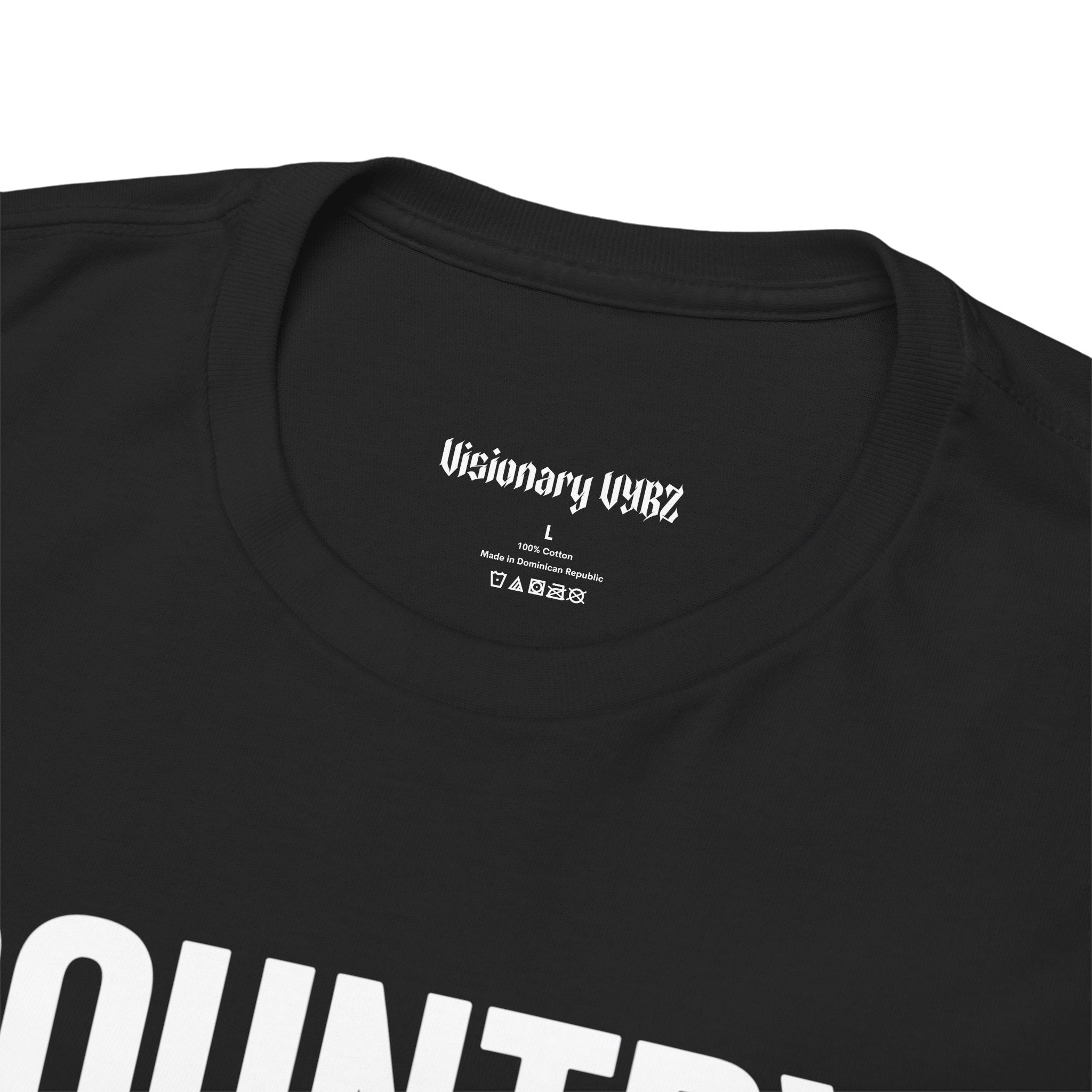 Country Three Chords and the Truth T-Shirt
