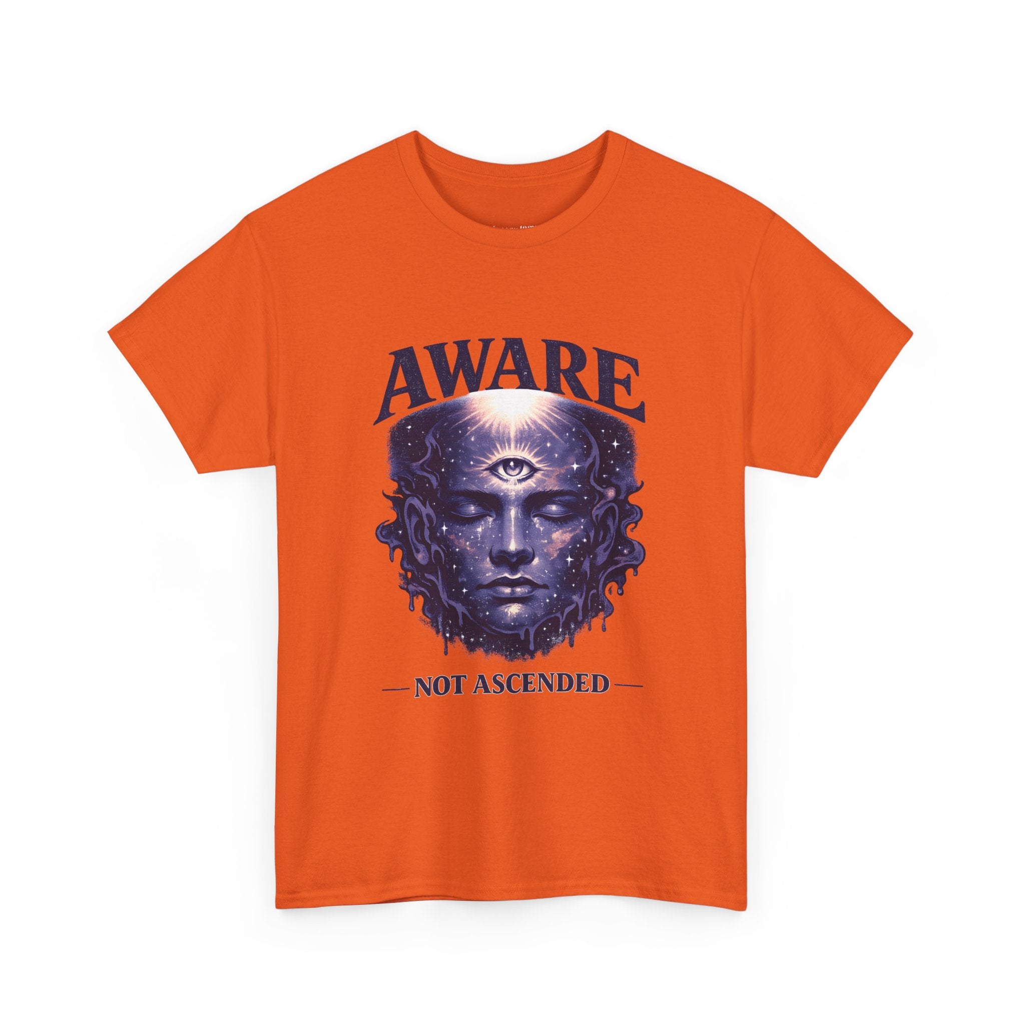 Aware Not Ascended T-Shirt